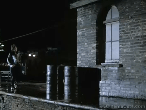 Give My Regards to Broad Street - Paul McCartney walking along subway station platform as multi-colored cat is crossing train tracks
