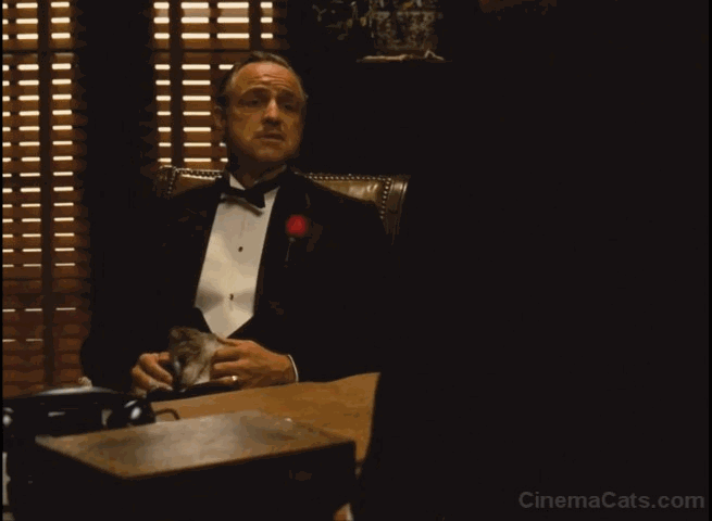 The Godfather - Vito Corleone with cat on lap animated gif