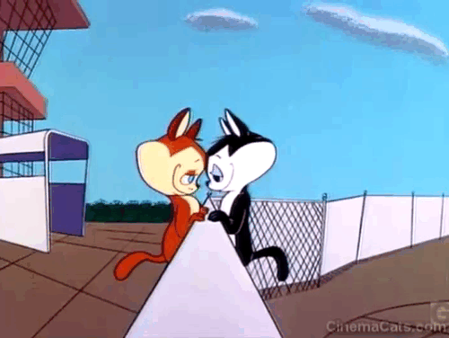 Go Fly a Kit - flying black and white cat and orange and cream cat in love with family animated gif