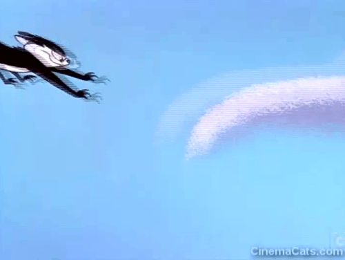 Go Fly a Kit - flying black and white cat raking bulldog's back animated gif