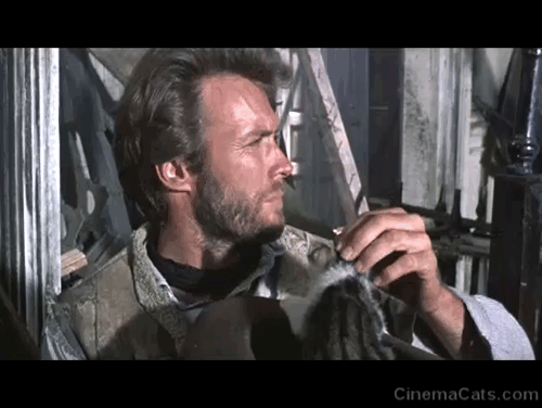 The Good, the Bad and The Ugly - Blondie Clint Eastwood with bicolor tabby kitten in his hat animated gif