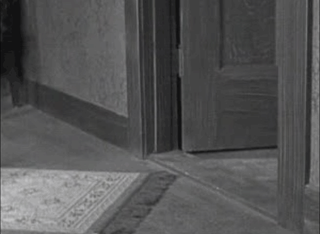 Grandma's Boy - kittens entering room animated gif