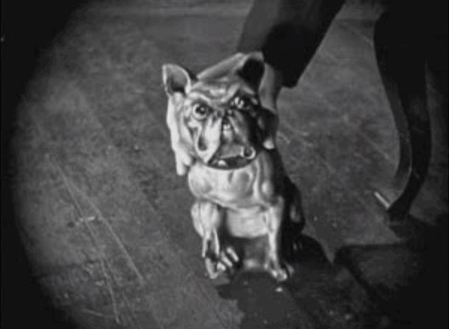 Grandma's Boy - kittens frightened by toy dog animated gif