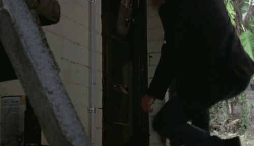 Grievous Bodily Harm - Balinese seal point longhair cat watching Tom Colin Friels reach through cat flap to open door animated gif