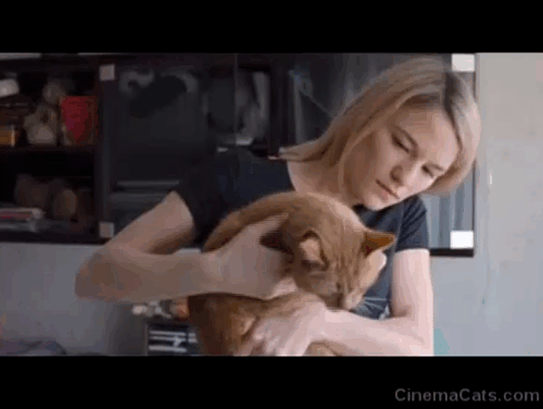 The Ground Beneath My Feet - ginger tabby cat jumping down from Lola Valerie Pachner's arms animated gif