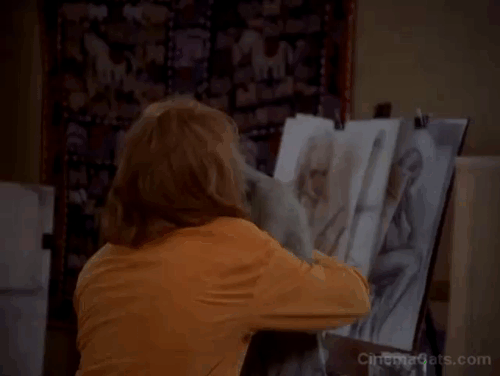 Grumpier Old Men - gray cat Slick jumping by Ariel Ann-Marget animated gif