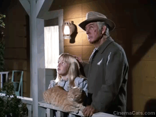 Gunsmoke - Milligan - Johnny Harry Morgan and Wendy Patti Cohoon standing on porch with ginger tabby cat Jim Grim animated gif