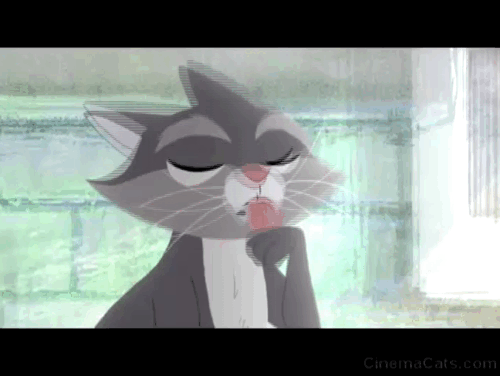 Hair Love - gray cat Rocky looking surprised with blep animated gif