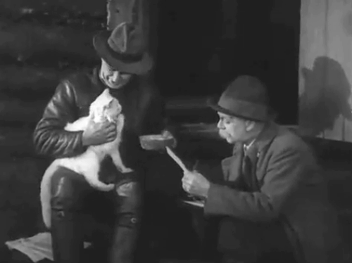 Hans engelska fru - His English Wife - Discord - Birger Holm Urho Somersalmi holding longhair white cat with Eric Gustafson animated gif