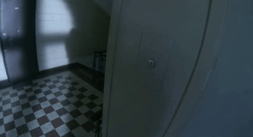 Hardcore Henry - calico cat running in hallway and man chasing her down stairs animated gif