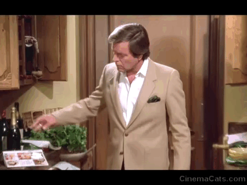 Hart to Hart - With This Hart, I Thee Wed - Jonathan Robert Wagner startled by silver Persian cat jumping from counter in kitchen animated gif