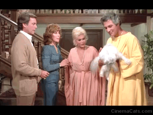Hart to Hart - With This Hart, I Thee Wed - Jonathan Robert Wagner Jennifer Stephanie Powers Aunt Renee Eva Gabor and Justin John Gabriel laughing as dog Freeway licks silver Persian cat on head animated gif