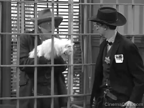 Head of the Class - Exactly Twelve O'Clock - Mr. Moore Howard Hesseman handing longhair white cat through jail cell bars to Arvid Dan Frischman animated gif