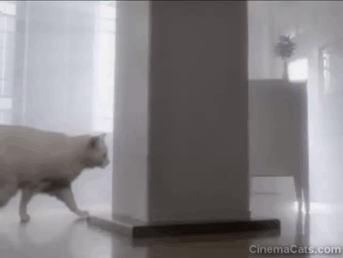 A Heavenly Christmas - white cat Snowball walking through post