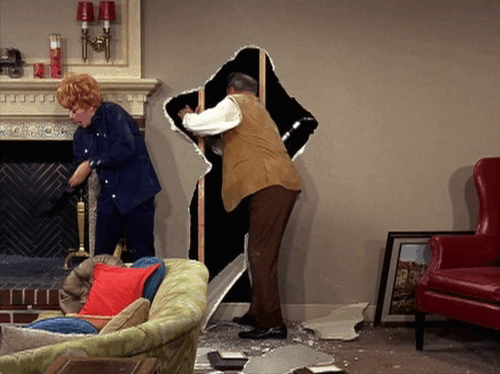 Here's Lucy - Lucy the Fixer - Harry Gale Gordon showing gray and white kitten to Lucille Ball who screams animated gif