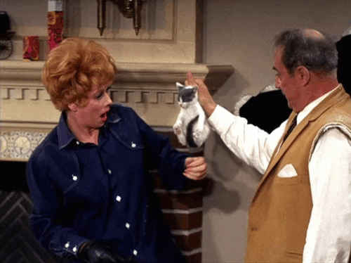Here's Lucy - Lucy the Fixer - Harry Gale Gordon reacting as Lucille Ball coos to gray and white kitten animated gif