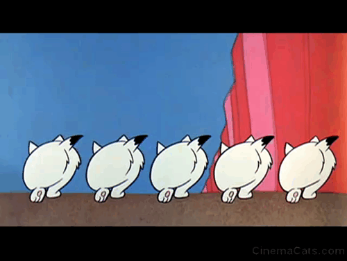 Hey There, It's Yogi Bear - line of kittens marching away animated gif
