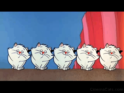 Hey There, It's Yogi Bear - line of kittens marching animated gif