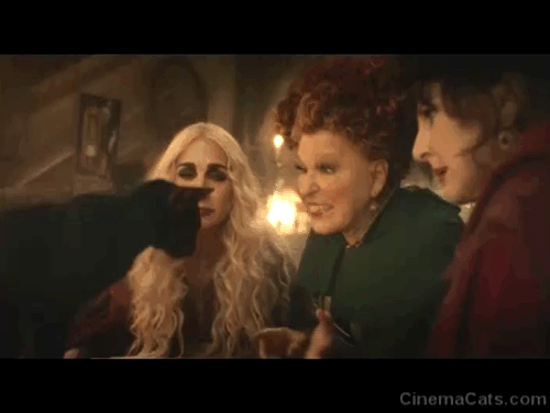 Hocus Pocus 2 - black cat Cobweb about to be zapped by Sanderson Sisters Bette Midler, Kathy Najimy and Sarah Jessica Parker with Gilbert Sam Richardson animated gif