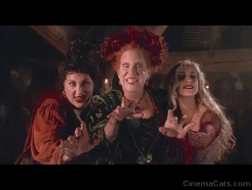 Hocus Pocus - The Sanderson Sisters Bette Midler, Sarah Jessica Parker and Kathy Najimy changing Thackery Binx into a black cat animated gif
