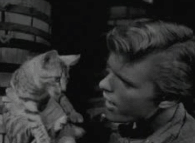 The Hoodlum Priest - animated gif of Billy holding tabby cat