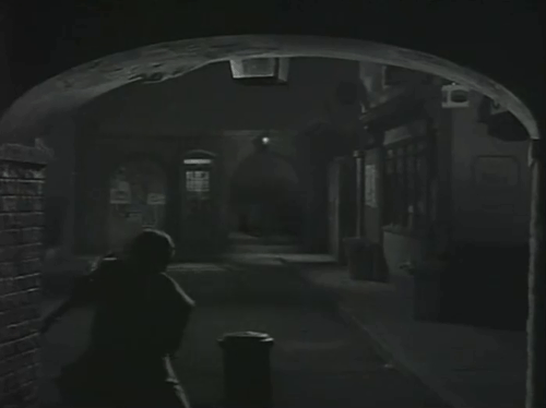 The Hornet's Nest - Peterson Charles Farrell running into alley with calico cat jumping down from dustbin and running away animated gif