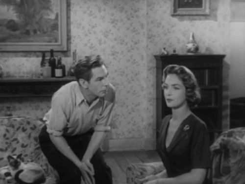 The House in the Woods - Geoffrey Michael Gough and Carol Patricia Roe talking as seal point Siamese cat Cleopatra rolls on chair animated gif