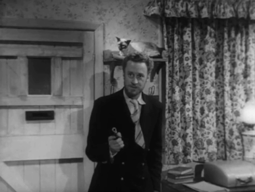 The House in the Woods - Geoffrey Michael Gough fighting with Spencer Ronald Howard who pauses to pet seal point Siamese cat Cleopatra on shelf animated gif