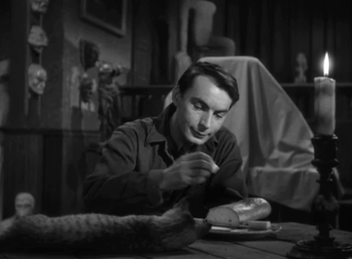 House of Horrors - Marcel Martin Kosleck offering grey tabby cat Pietro some cheese animated gif