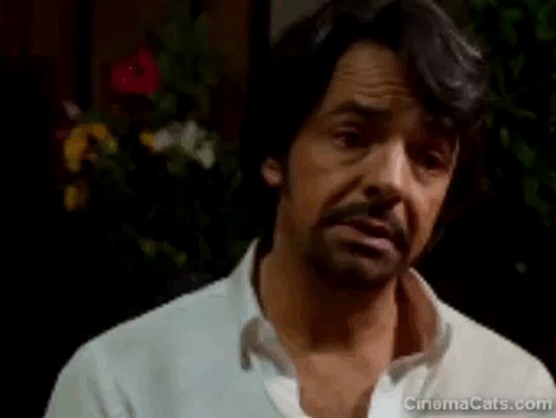 How to Be a Latin Lover - orange and white cat climbing onto Maximo Eugenio Derbez shoulder animated gif