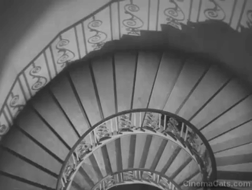 Hue and Cry - black cat and shadow moving down circular stairs animated gif