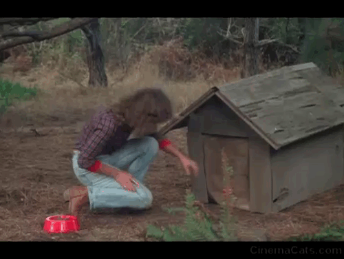 Humanoids from the Deep - Carol Cindy Weintraub scared by gray cat running out of dog house animated gif