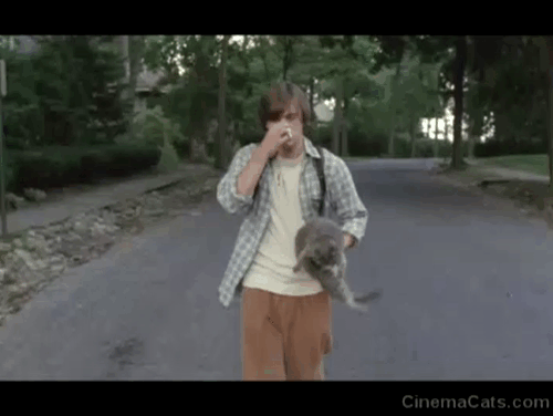 Imaginary Heroes - Tim Travis Emile Hirsch carrying gray cat down street animated gif