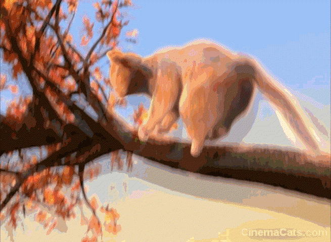The Incredibles - orange tabby cat Squeaker hanging on to shaking tree