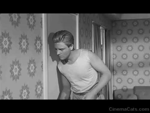The Incredible Shrinking Man - Scott Carey Grant Williams opening door to find giant snarling face of ginger tabby cat Butch Orangey animated gif