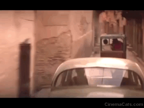 Indiana Jones and the Dial of Destiny - cat running on street in front of tuk tuk animated gif
