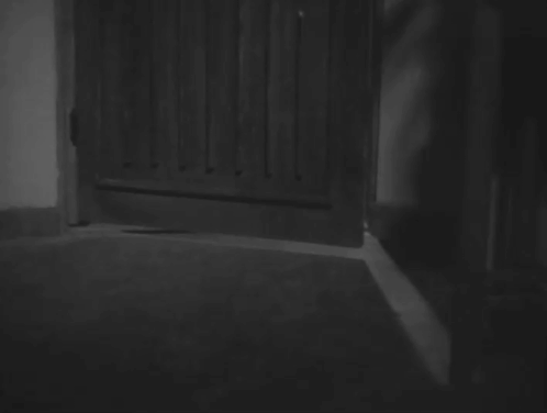 The Invisible Man Appears - Tômei ningen arawaru - black cat with ruffed collar walking into room and startling men animated gif