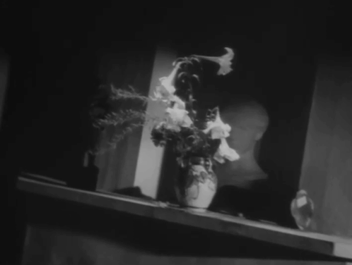 The Invisible Man Appears - Tômei ningen arawaru - women reacting to invisible cat knocking over plant then leaving muddy footprints across floor animated gif