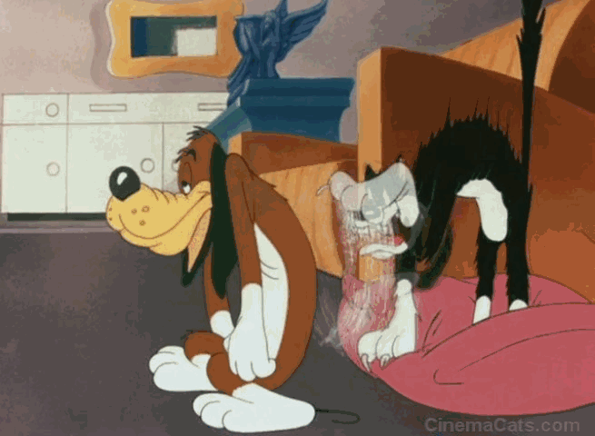 An Itch in Time - cat scratching dog on back animated gif