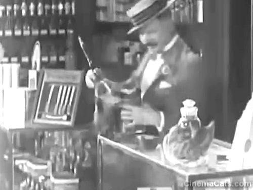 It's the Old Army Game - tabby cat being dusted with feather duster by Elmer Prettywillie W.C. Fields animated gif