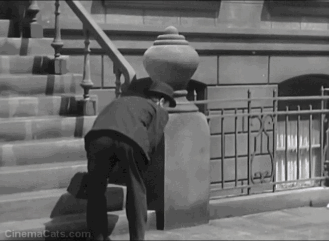 Jazz Heaven - Max Langley Clyde Cook calling tuxedo cat as it stops following