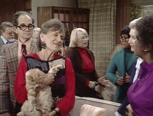The Jeffersons - State of Mind - Mrs. Pardella Elmarie Wendel pulling longhair ginger tabby cat Mr. Whiskers away from Louise Isabel Sanford before walking away animated gif