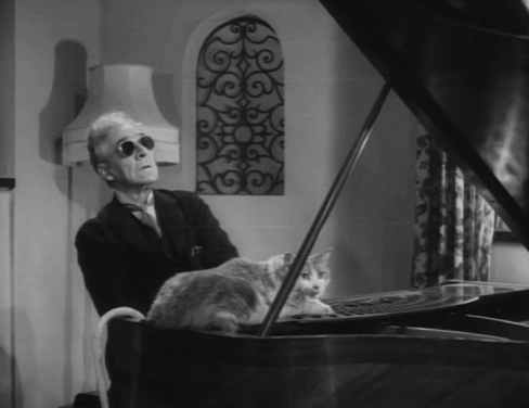 Johnny on the Spot - tabby and white cat on piano being played by blind man Douglas Herald animated gif