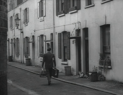 Johnny on the Spot - tabby and white cat on front step of mews as Paul Carpenter passes and man removes shoes from mat animated gif