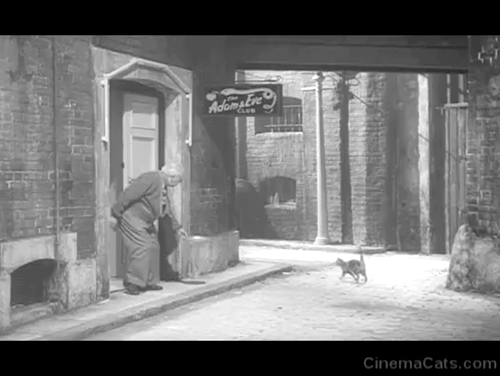Jungle Street - Old Bill Howard Douglas feeding tabby cats outside club animated gif