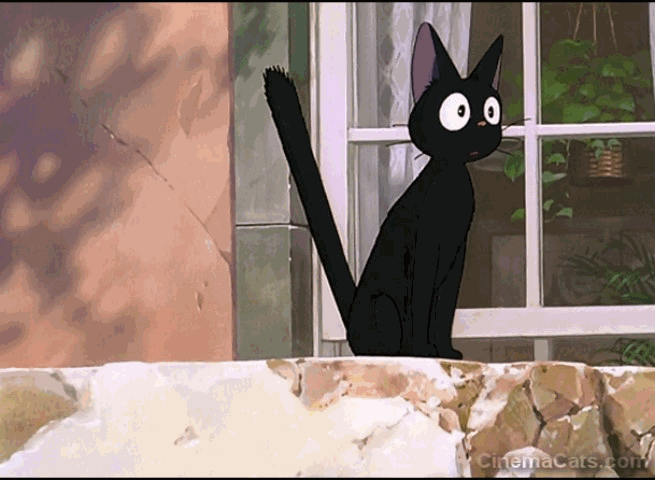 Kiki's Delivery Service - black cat Jiji fur bristling animated gif