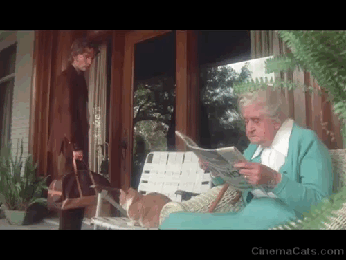 The Killing Kind - Terry Jon Savage petting orange and white ginger tabby cat with elderly woman smiling at him animated gif