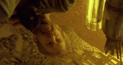 Klimt - John Malkovich holding black cat over gold leaf artwork on mirrored table animated gif