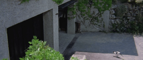 Knife of Ice - Il coltello di ghiaccio - Christina Rosa M. Rodriguez running into garage after black and white kitten who sees murdered Jenny Ida Galli under car animated gif