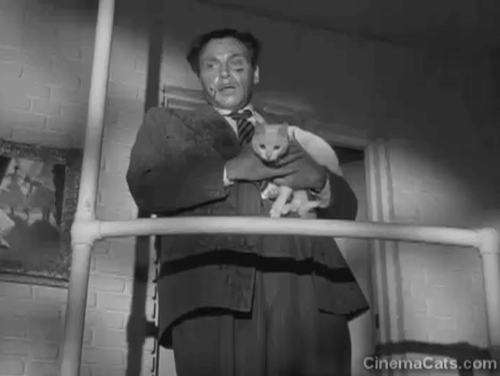 Lady on a Train - beaten Saunders George Coulouris walking down stairs toward Nikki Deanna Durbin while holding white cat Whitey animated gif